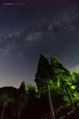DSC02818 - 
