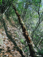P1010694.JPG