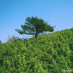 P1010738.jpg