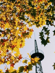 2014-10-25 142649(1)