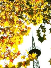 2014-10-25 142649(1)