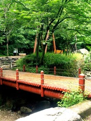 P6220591