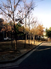 P3250364