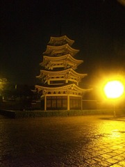 P7010658