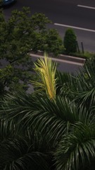 9FAFBDBD-9843-4AFB-9D2C-068163F7AC85/L0/001