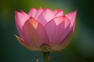 F3142266-67DA-4416-B18D-F20898190826/L0/001