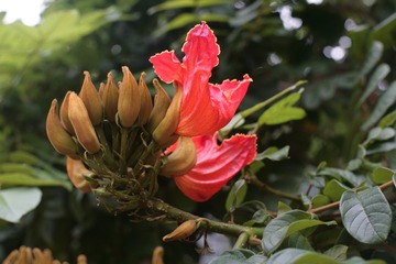A13F6E10-012A-4FE6-A30A-852FE707178F/L0/001
