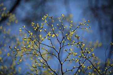 AB62CB3D-C85D-4782-A845-27613AB060A9/L0/001