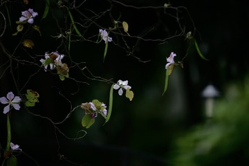 D4709B02-5665-4E87-93EF-05F079651238/L0/001