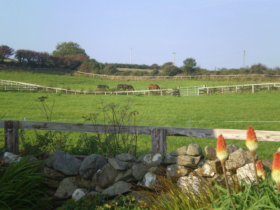 P9130169<br />

