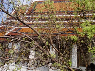 P1121733