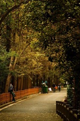 IMG_7222.jpg