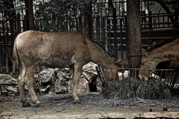 IMG_7241.jpg