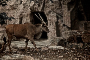 IMG_7341.jpg