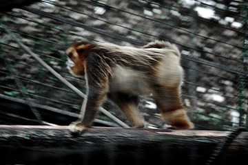 IMG_7461.jpg