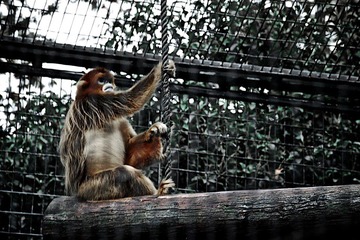 IMG_7468.jpg