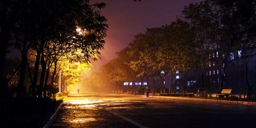 IMG_1562.jpg