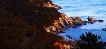 IMG_3531.JPG