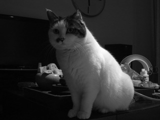 R1073611.JPG