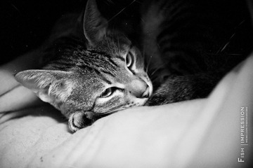 _MG_3282.jpg