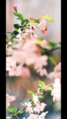 A55D06E5-BF7C-454D-93E5-E5324583A789/L0/001