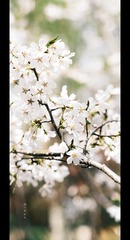 6B03C27D-FE64-444B-8A31-38ADABC385D1/L0/001