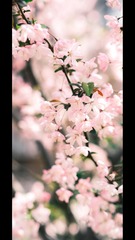 D8588A50-EB45-485C-9C4D-CD76814156B7/L0/001