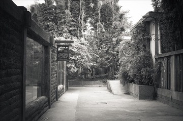 EPSN2134.jpg