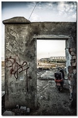 EPSN2441-编辑.jpg