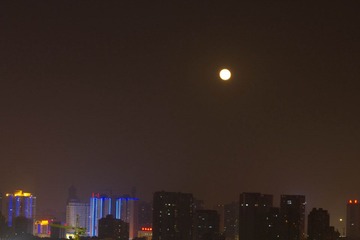 IMG_6795.jpg