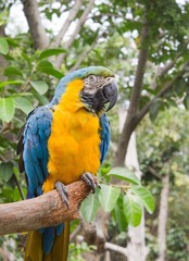 IMG_6986.jpg