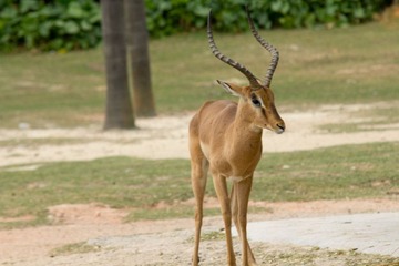 IMG_7328.jpg