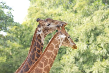 IMG_7442.jpg