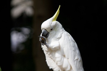 IMG_7516.jpg
