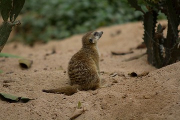 IMG_7590.jpg