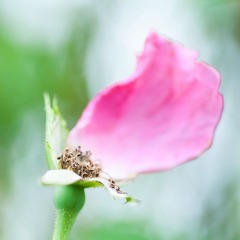 _DSC4993_缩小大小.jpg