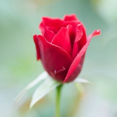 _DSC5063_缩小大小.jpg