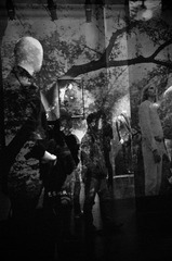 DSC_0552_缩小大小.JPG