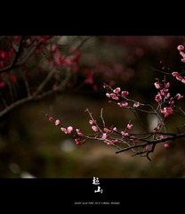_DSC0012__