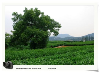 IMGP9556.jpg