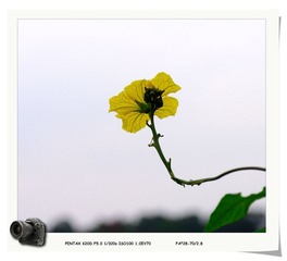 IMGP9537.jpg