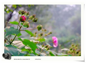 IMGP9658.jpg