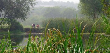 IMGP9601.jpg