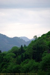 IMGP5466.jpg