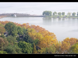 IMGP8553.jpg