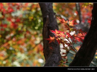 IMGP0327.jpg