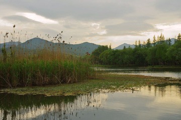 IMGP9974.jpg