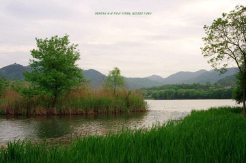 IMGP9984.jpg