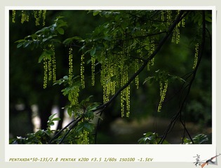 _IGP2568.jpg