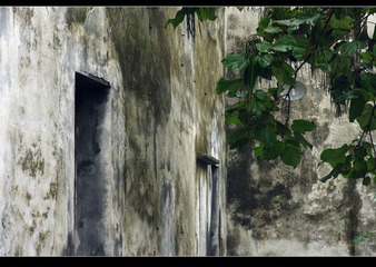 IMGP9986.jpg